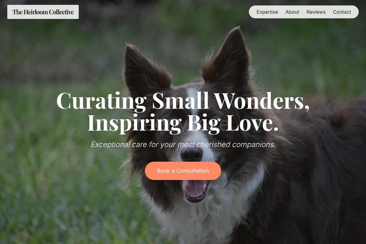 Precious Pet Services