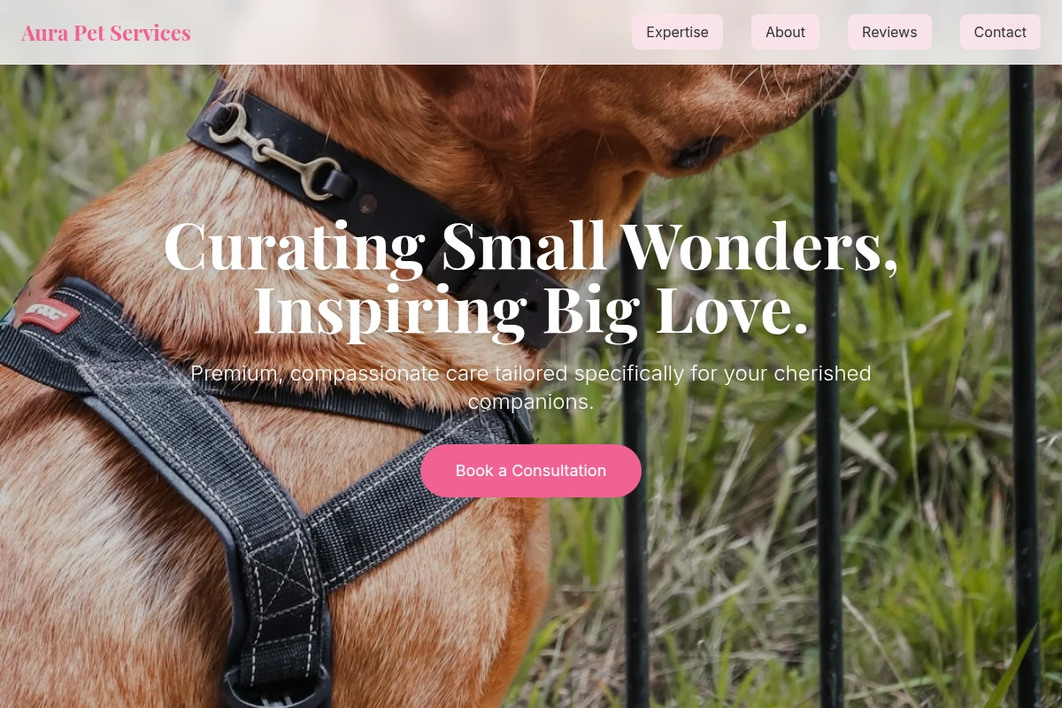 Aura Pet Services